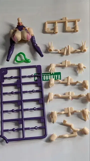 아르카나디아 멜티나 정크