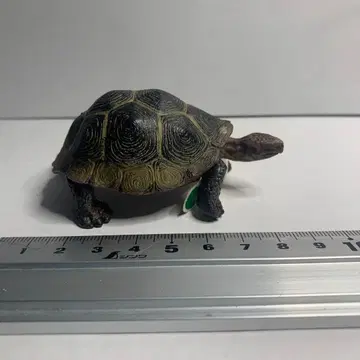 Safari Ltd. 거북이 피규어 약 8cm 2010년제