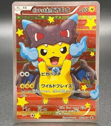 포켓몬 카드 판초를 입은 피카츄 207/XY-P
