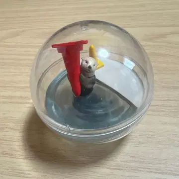 도바 수족관 카프리움 컬렉션 알래스카 랏코