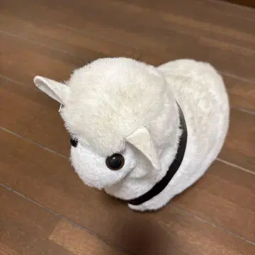 검은색 하네스가 달린 뉴질랜드 양 봉제 인형