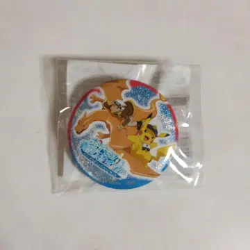포켓몬 스카이츠리 프리드 캔뱃지