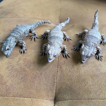 아르마딜로 도마뱀 가챠가챠