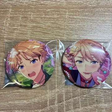 [ 즉시 익명 ] 앙스타 캔뱃지 Feb 아라시