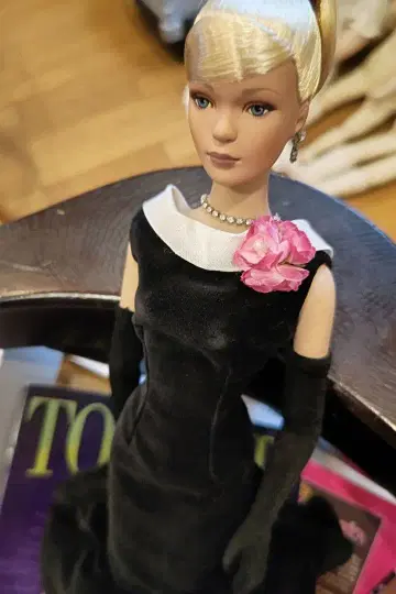 타일러 웨인트워스 인형과 럭셔리 작품집 4권 세트 데드스탁 상품