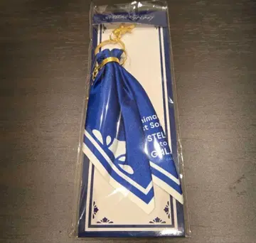 호시마치 스이세이 1stLive 타이 키체인