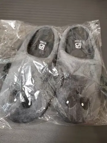 비퍼스트 슌토 마치 에이리언 슬리퍼