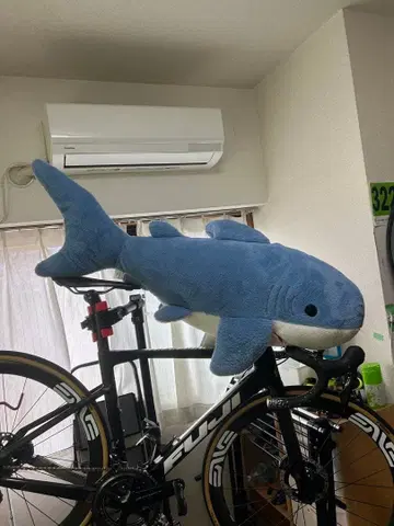 파란색 상어형 봉제 인형 TAITO 한정판