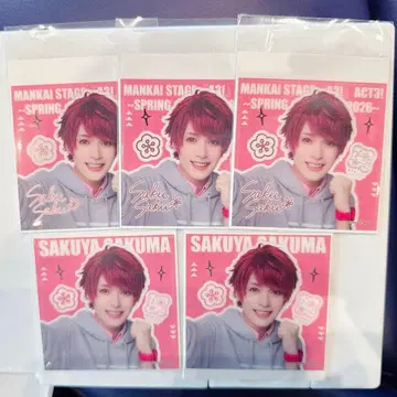 에이스테 랜덤 스퀘어 카드 봄조 사쿠마 사쿠야 요코타 류기