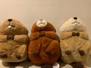 말랑 비버 터치 울트라 BIG 봉제 인형 3종 세트