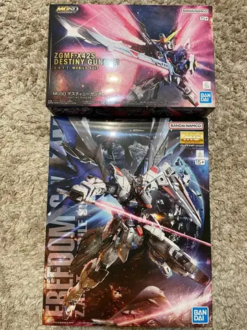 MG 프리덤 건담 Ver.2.0 MGSD 데스티니 건담