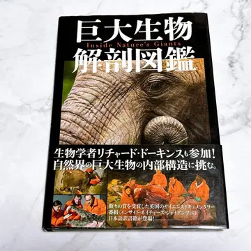 거대 생물 해부 도감