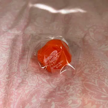 시노노메 아키토 링 라이트