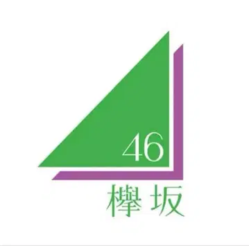 케야키자카46 굿즈류 ( 2-4장 참조 )