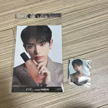 est harua 에스트 하루아 스티커 3종 플라이어 1장
