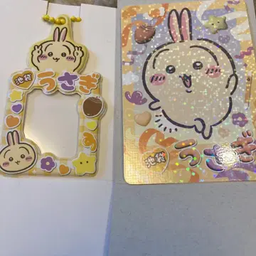 치이카와 랜드 이케부쿠로 토끼