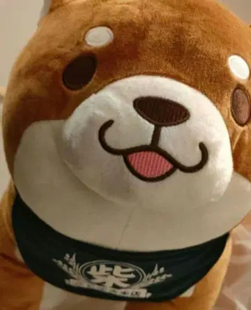 시바견 봉제 인형