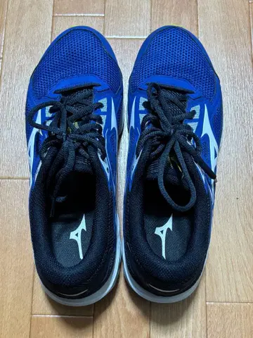 Mizuno 러닝화 파랑