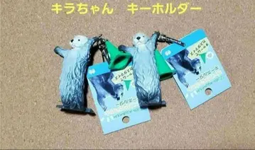 키라짱 토바 수족관 랏코 키라짱 키링 3월 29일 신상품