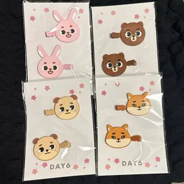 DAY6 헤어 클립 4세트 성진 영케이 원필 도운