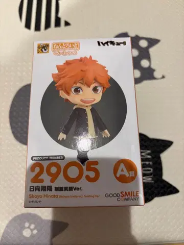 하이큐 복권 A상 히나타 쇼요