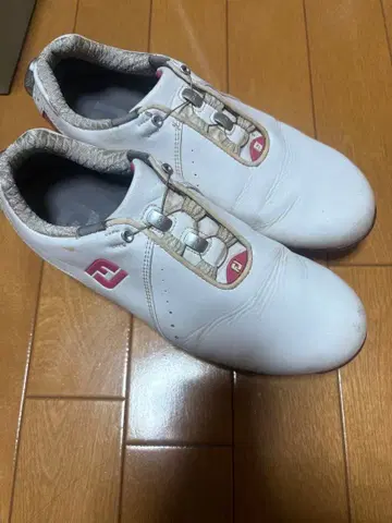 풋조이 골프화 24.0 여성용