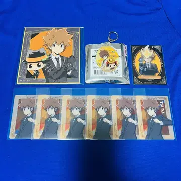 가정교사 히트맨 REBORN! 사와다 츠나요시 혜택