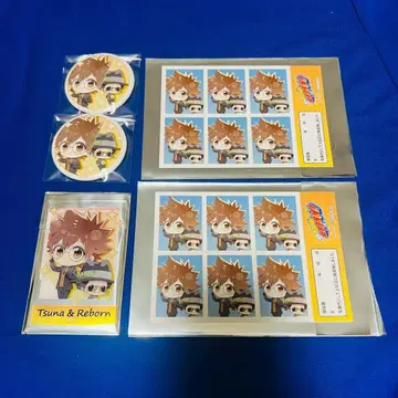 가정교사 히트맨 REBORN! 사와다 츠나요시 시즈널 플랜츠