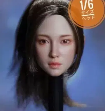 미사용 새상품 1/6 사이즈 커스텀 인형 미녀 헤드 심리스 피규어 등