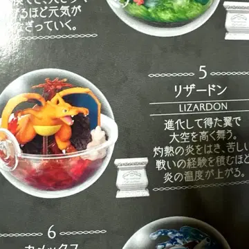 포켓몬 Terrarium Collection 15 피규어 리자몽