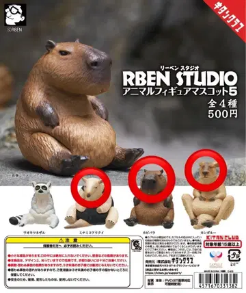 리벤 스튜디오 애니멀 피규어 마스코트 카피바라 캥거루 3종 세트