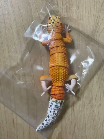 레오파드 도마뱀 (탠저린) 생물대도감 어드밴스 생물 가챠