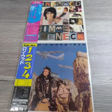 Ronnie Wood Gimme Some Neck 1234 론 우드