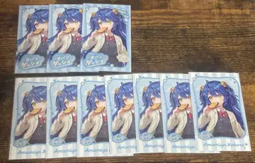 식빵 돌진 폴라로이드 아마미야 코코로