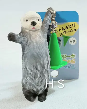 도바 수족관 랏코 키라짱 키링 새상품