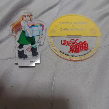일하는 세포 아크릴 스탠드 TOKYU HANDS