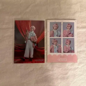 플라뮤 랜덤 스티커 멜로드