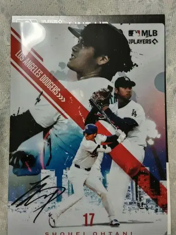 오타니 쇼헤이 로스앤젤레스 다저스 클리어 파일