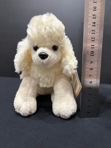 토이 푸들 봉제 인형