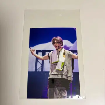 우라타누키 WARN12G 혜택 브로마이드 원반 우라시마사카타센 우라타