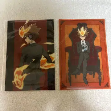 가정교사 히트맨 REBORN 클리어 카드 사와다 츠나요시 2점 세트