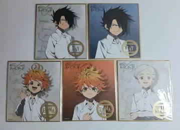 약속의 네버랜드 미니 색지 5종 세트