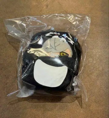 crazy raccoon CR FRIENDS 달마이즈고드 프렌즈