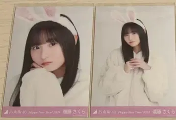 노기자카46 엔도 사쿠라 토끼 요리 츄 십이지