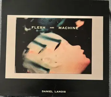 Daniel Lanois Flesh and Machine