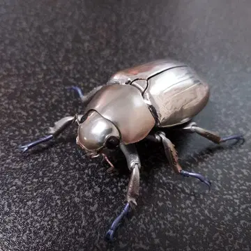 플라티나 코가네 실버 생물대도감 어드밴스