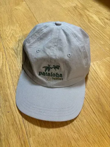 Patagonia 파타로하 한정판 캡