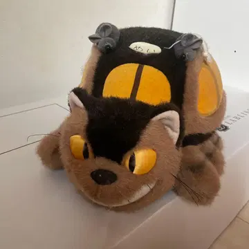 고양이 버스