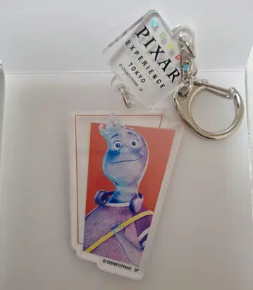 픽사 세계전 랜덤 아크릴 키링 웨이드