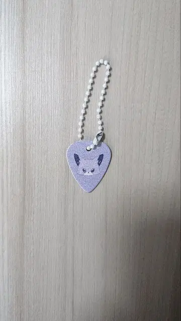 Xdinaryheroes 엑디즈 오드 시크릿 피크 키링